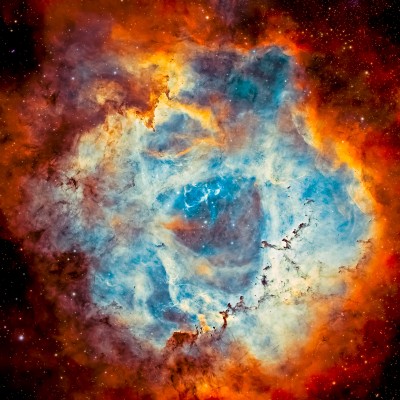 늦었으니 장미 한송이