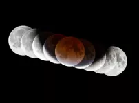 Composite-lunar-eclipse-Nov-2021-ST-Zoltan-Levay-900px.webp