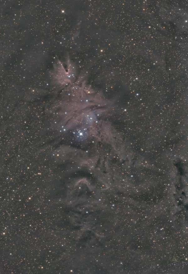 NGC2264_HaRGB2.jpg